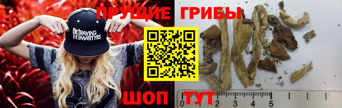 Галлюциногенные грибы Magic Shrooms  Вход с VPN  Чернушка  Псилоцибиновые грибы мухоморы 